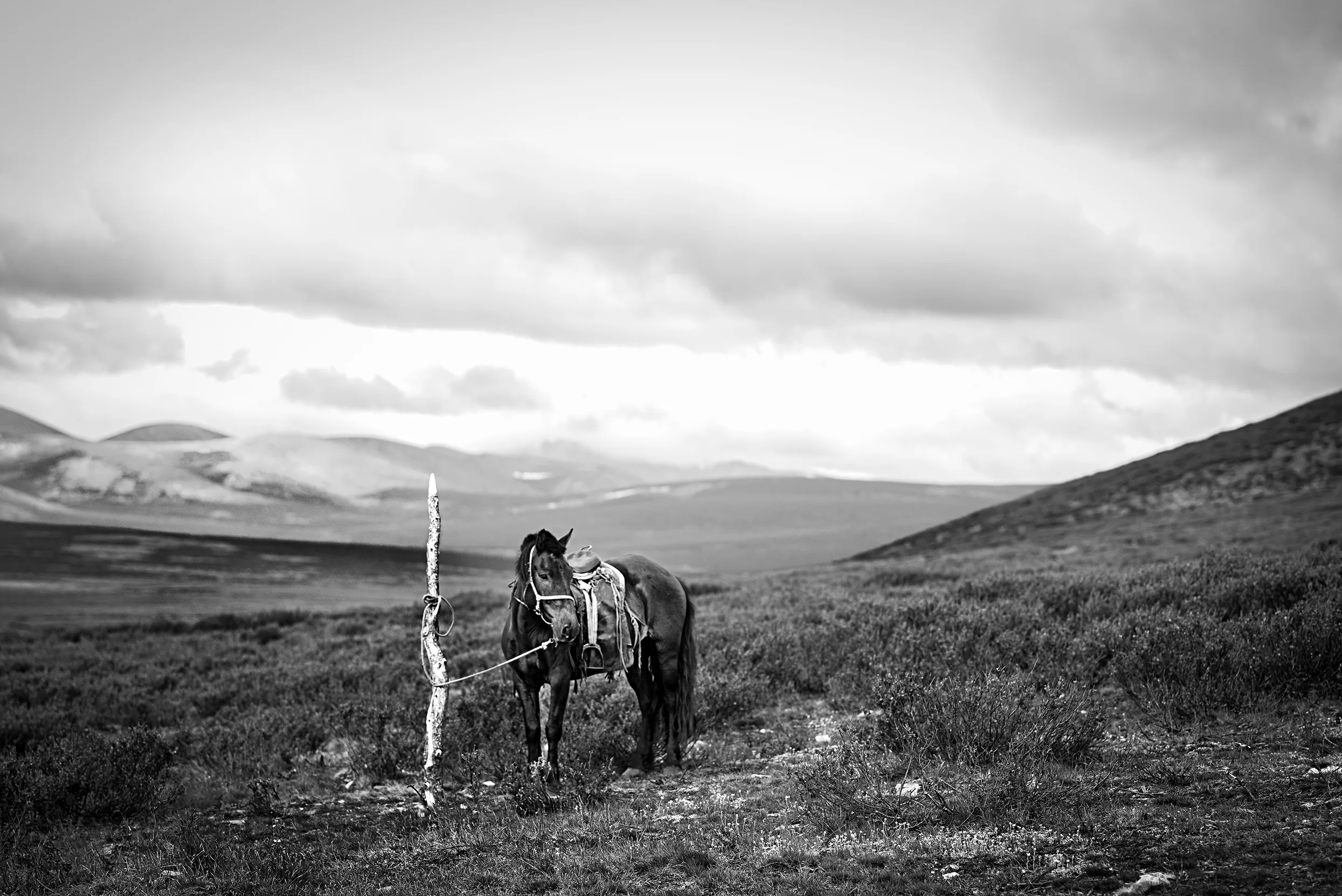ĐỐI THOẠI VỚI NHÂN VẬT QUA ỐNG KÍNH LEICA